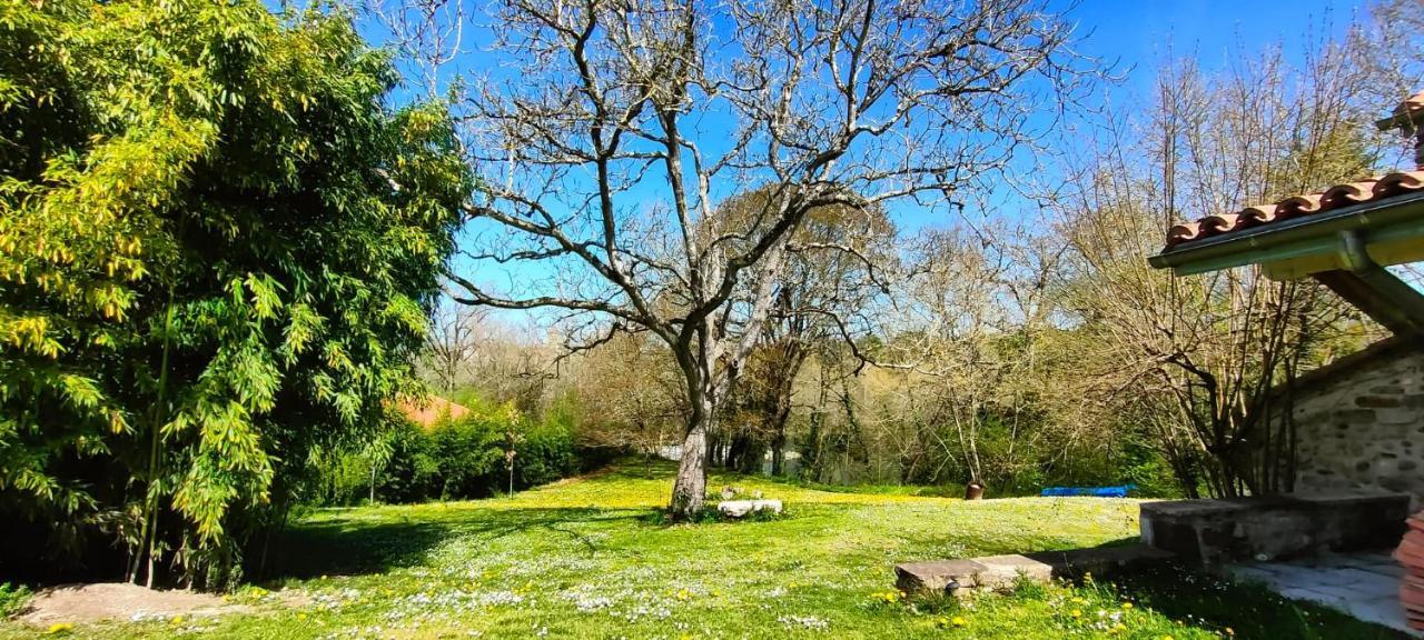 Entre Galets Apartment Sauveterre-de-Bearn ภายนอก รูปภาพ
